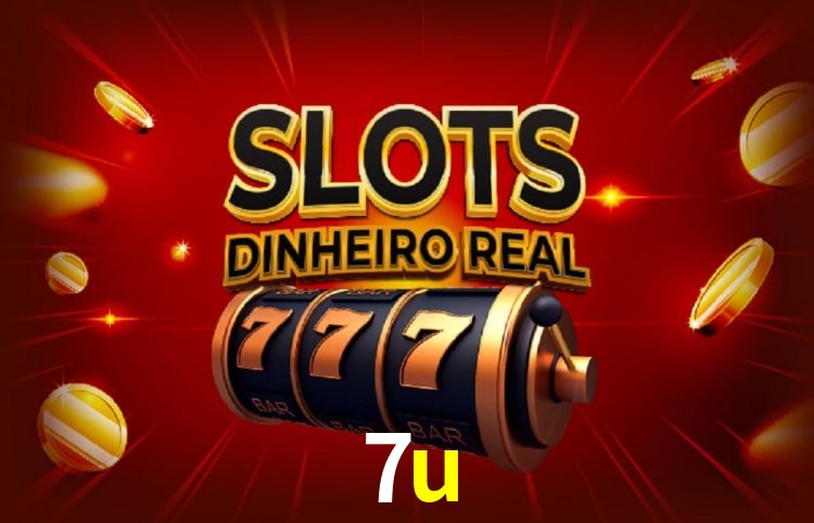 Sistemas de Segurança 7u